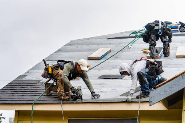 Professional Gutter Installation technician working in Zion, IL